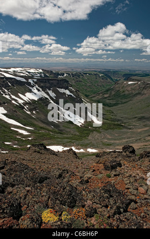 Sedums fleurissent parmi les affleurements rocheux de basalte surplombant les gorges de Blitzen peu au sommet de l'Oregon SE Steens Mountain Wilderness Area. Banque D'Images