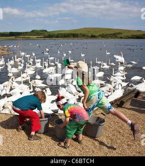 Les enfants aident au moment de l'alimentation à l'Swannery, une attraction touristique très populaire du sud près du village d'Abbotsbury Dorset Banque D'Images