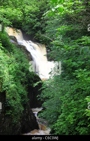 La première Pecca tombe sur le sentier des chutes d''Ingleton, Ingleton, Yorkshire du Nord, Yorkshire Dales National Park Banque D'Images