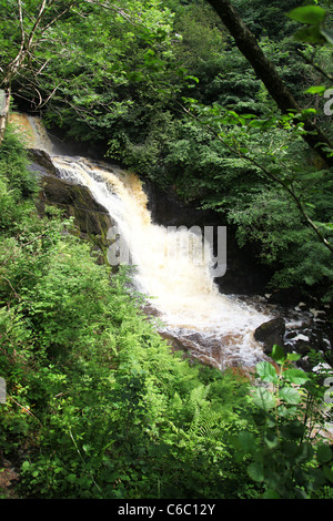 La première Pecca tombe sur le sentier des chutes d''Ingleton, Ingleton, Yorkshire du Nord, Yorkshire Dales National Park Banque D'Images