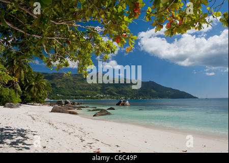 La plage de Beau Vallon, Mahe, Seychelles Banque D'Images