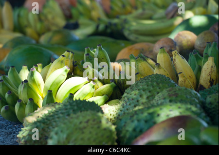 Fruits tropicaux frais sur une plage Market Stall, plage de Beau Vallon, Mahe, Seychelles Banque D'Images