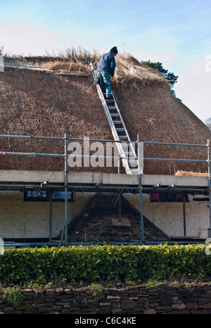 Thatcher à travailler sur une toiture du chalet Wiltshire Banque D'Images