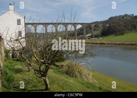 Tamar River & Viaduc Calstock, Cornwall, Angleterre Banque D'Images