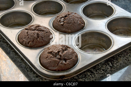 Muffins au chocolat fraîchement cuits dans un plat allant au four. Banque D'Images