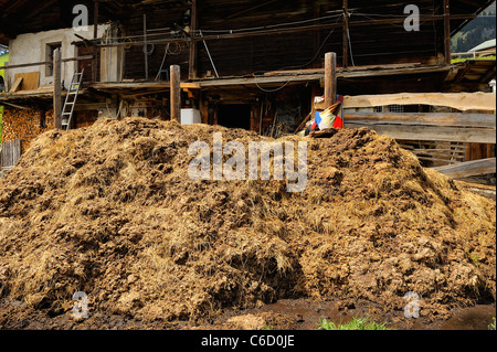 Tas de fumier en face d'une ferme dans le village d'Hauteluce dans le Beaufortain, dans les Alpes françaises, Savoie, Europe Banque D'Images