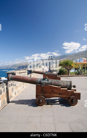 Chanoines, mur fortifié de la Plaza Europa, Puerto de la Cruz, Tenerife, Canaries, Espagne, Europe Banque D'Images