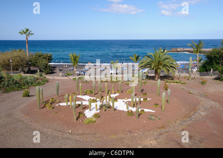 Playa Jardin, Puerto de la Cruz, Tenerife, Canaries, Espagne, Europe Banque D'Images