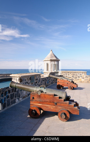 Chanoines, mur fortifié de la Plaza Europa, Puerto de la Cruz, Tenerife, Canaries, Espagne, Europe Banque D'Images