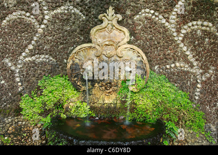 Petite fontaine décorative en Parque Terra Nostra. L'île de São Miguel, Açores Banque D'Images