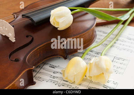 Le violon et les tulipes sur Sheet Music Banque D'Images