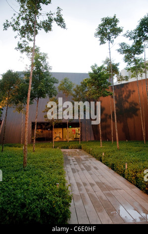 Arbres sur un toit terrasse, Kuala Lumpur, Malaisie, Asie du Sud, Asie Banque D'Images