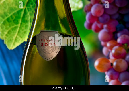 Bouteille de vin Vendanges 2010 'étiquette' (2010) de la vendange étiquette sur bouteille de vin avec des raisins mûrs sur fond de vigne en France Banque D'Images