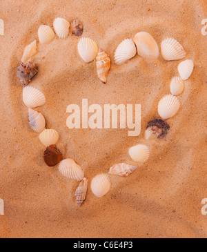 Close up de forme de coeur de coquillages sur le sable Banque D'Images