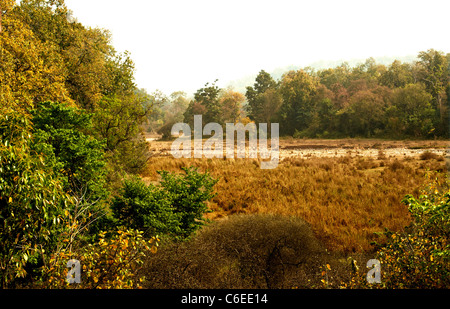 Chilla-Rajaji Park-Uttarakhand la forêt nationale de l'Inde. Banque D'Images