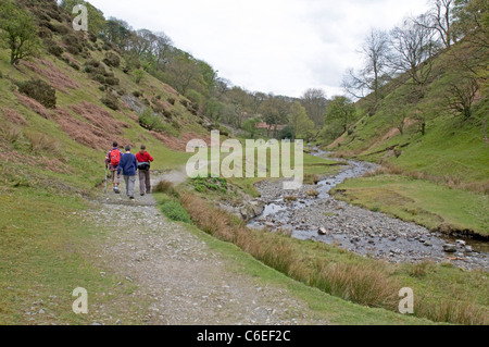Marcher le long de cendres creux, sur des petites vallées fonctionnant en bas du Long Mynd près de Little Stretton, Shropshire Banque D'Images