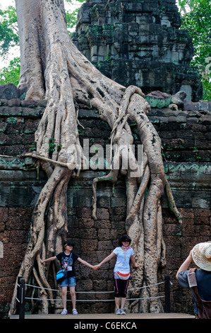 Ta Phrom et monastère bouddhiste Mahayana temple university en ruines couvertes strangler fig tree roots Cambodge Banque D'Images