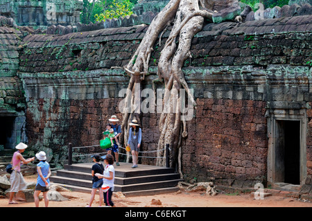 Ta Phrom et monastère bouddhiste Mahayana temple university en ruines couvertes strangler fig tree roots Cambodge Banque D'Images