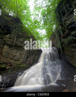 Plus Hareshaw d'eau jaillissante Cascade Linn, Bellingham, Parc National de Northumberland Banque D'Images