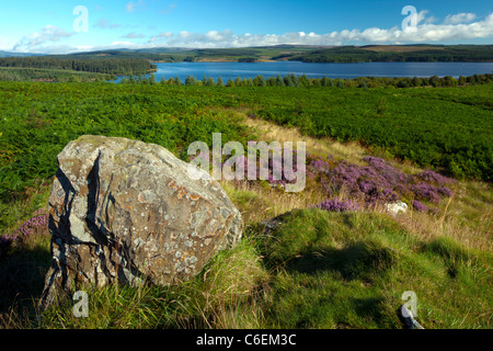 La lande de bruyère à plus de Kielder Water et parc de la forêt de Kielder dans Northumberland Banque D'Images