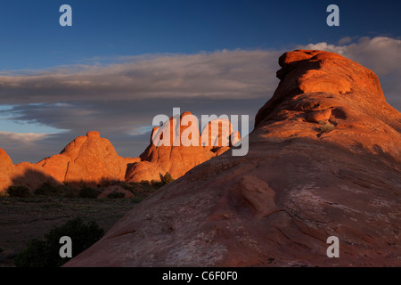 Des formations rocheuses et des plantes du désert, la lumière du matin, Arches National Park Banque D'Images