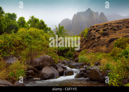 Kalalau Valley Stream, Napali Coast, Kauai, Hawaii Banque D'Images