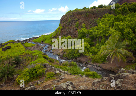 Kalalau Valley Stream, Napali Coast, Kauai, Hawaii Banque D'Images