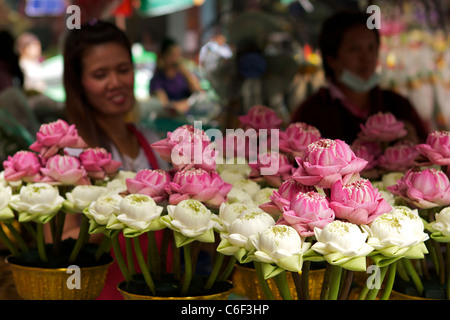 Bols de part les fleurs de lotus pliées en vente sur un étal dans le Pak Klong Talat market (Marché aux fleurs) à Bangkok Banque D'Images