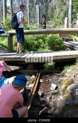 Riverhead Vltava, la République tchèque, la Sumava, forêt de Bohème Banque D'Images