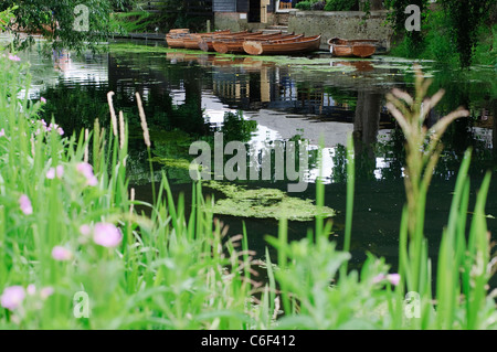 Bateaux amarrés sur la rivière Stour à Dedham, Essex. Banque D'Images