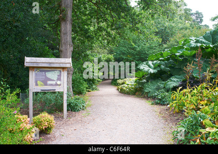 Chemin d'entrée Battleston Wisley RHS Garden Hill Woking Surrey UK Banque D'Images