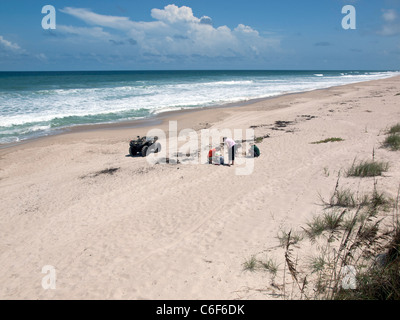 En comptant les oeufs non éclos tortue à partir d'un nid à Ponce de Leon en Floride Banque D'Images