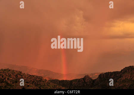 Un arc-en-ciel au coucher du soleil au cours d'une tempête de mousson dans les montagnes Santa Catalina, Coronado National Forest, Tucson, Arizona, USA. Banque D'Images