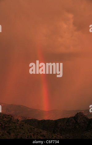 Un arc-en-ciel au coucher du soleil au cours d'une tempête de mousson dans les montagnes Santa Catalina, Coronado National Forest, Tucson, Arizona, USA. Banque D'Images