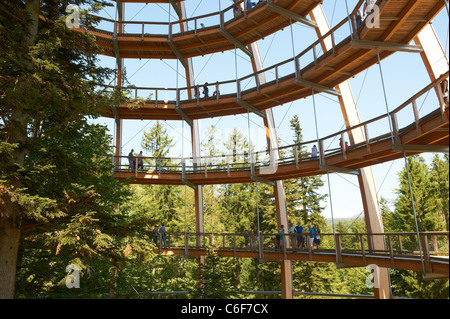 La Tree Top walk - Tree Tower - Parc National de la Forêt Bavaroise - Neuschönau Banque D'Images