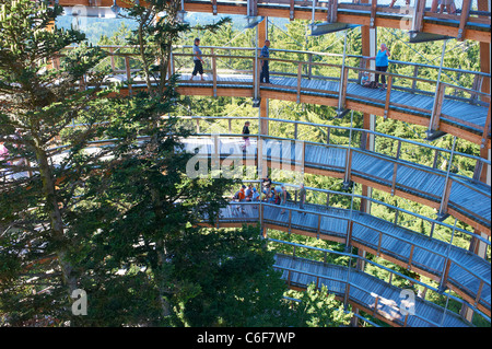 La Tree Top walk - Tree Tower - Parc National de la forêt de Bavière Neuschönau - Neuschenau Banque D'Images