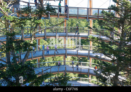 La Tree Top walk - Tree Tower - Parc National de la forêt de Bavière Neuschönau - Neuschenau Banque D'Images