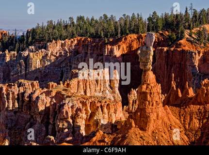 Thors Hammer Bryce Canyon National Park Banque D'Images