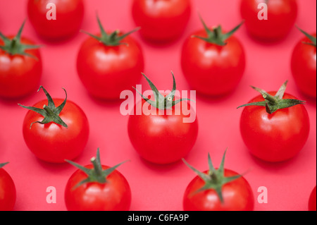 Solanum lycopersicum . Modèle des fruits de tomates cerises sur fond rouge Banque D'Images