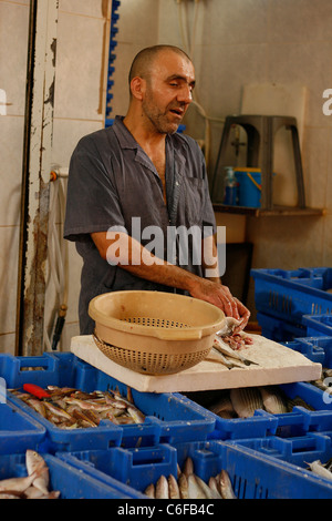 Un marchand de fruits de mer vu sur le bazar de la vieille ville d'Acre, Israël Banque D'Images