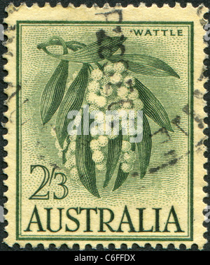 Australie - 1959 : timbre imprimé en Australie, montre (acacia melanoxylon) Wattle Banque D'Images