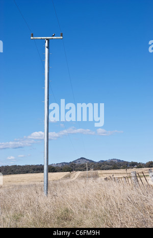 La preuve de la termite, pôle de l'énergie rurale en Australie Banque D'Images