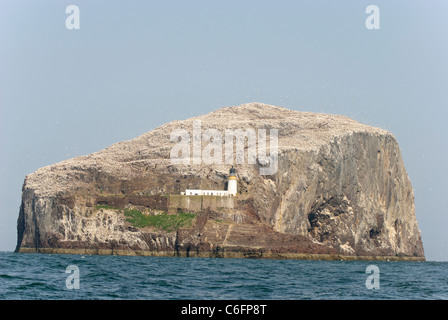 Bass Rock, Firth of Forth, Ecosse, Royaume-Uni Banque D'Images