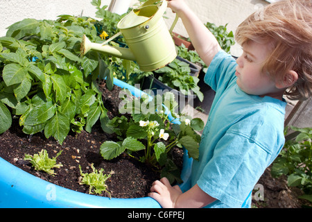 Petit garçon arroser son propre petit jardin en été Banque D'Images