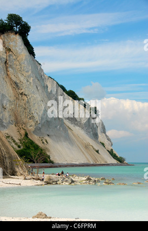 Les falaises de Møns Klint (falaises de Møn) sur la côte orientale de l'île danoise de Møn dans la mer Baltique. Banque D'Images