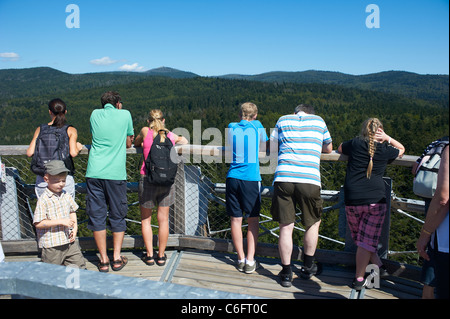 La Tree Top walk - Tree Tower - Parc National de la forêt de Bavière Neuschönau - Neuschenau Banque D'Images