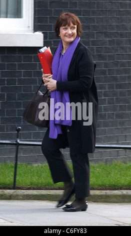 Ministre des Jeux Olympiques Tessa Jowell arrive à Downing Street London, England - 02.03.10 Banque D'Images