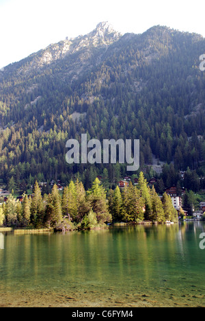 Arbres se reflétant dans l'eau d'un lac dans les Alpes de Suisse Banque D'Images