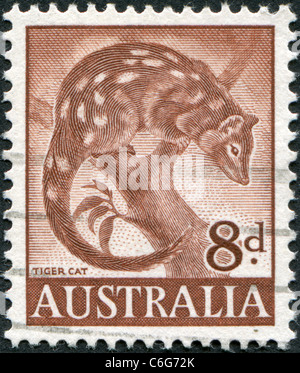 Australie - 1959 : timbre imprimé en Australie, montre Tiger Quoll (Dasyurus maculatus) Banque D'Images