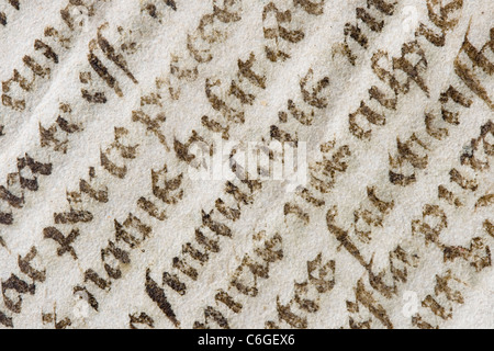 Détail d'une vieille Bible latine manuscrite de l'Évangile de Luc Banque D'Images